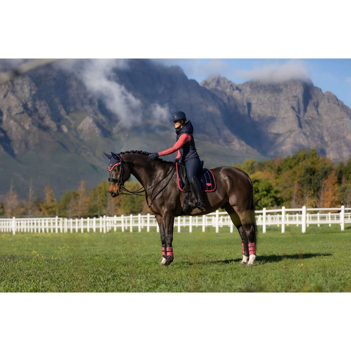 LeMieux Mantilla Loire Classic Doma clásica Navy/Cranberry