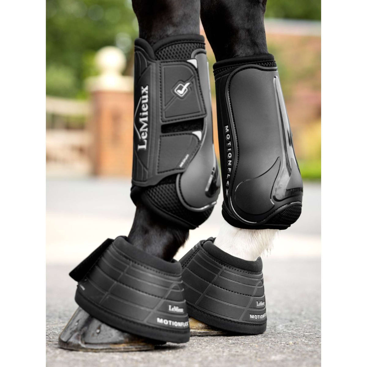 LeMieux Botas de Campana Motionflex OverReach Negro
