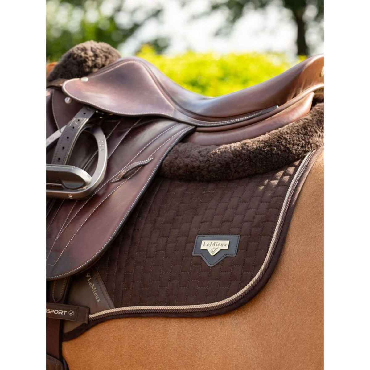LeMieux Mantilla de salto Puissance Ante Marron
