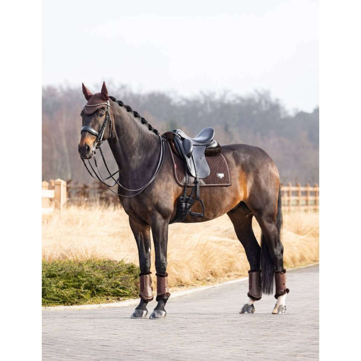 LeMieux Mantilla de Doma Puissance Ante Marron