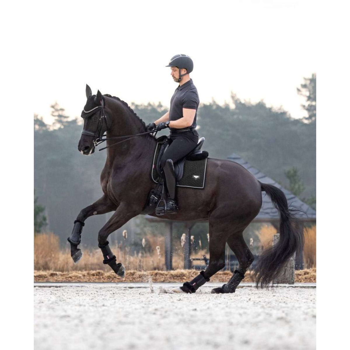 LeMieux Mantilla de Doma Puissance Ante Negro