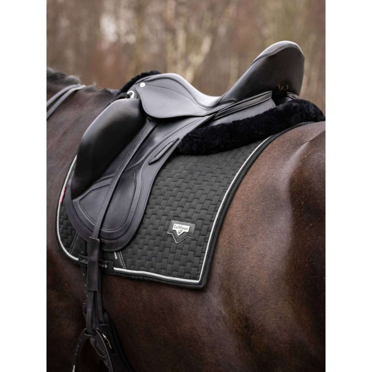 LeMieux Mantilla de Doma Puissance Ante Negro