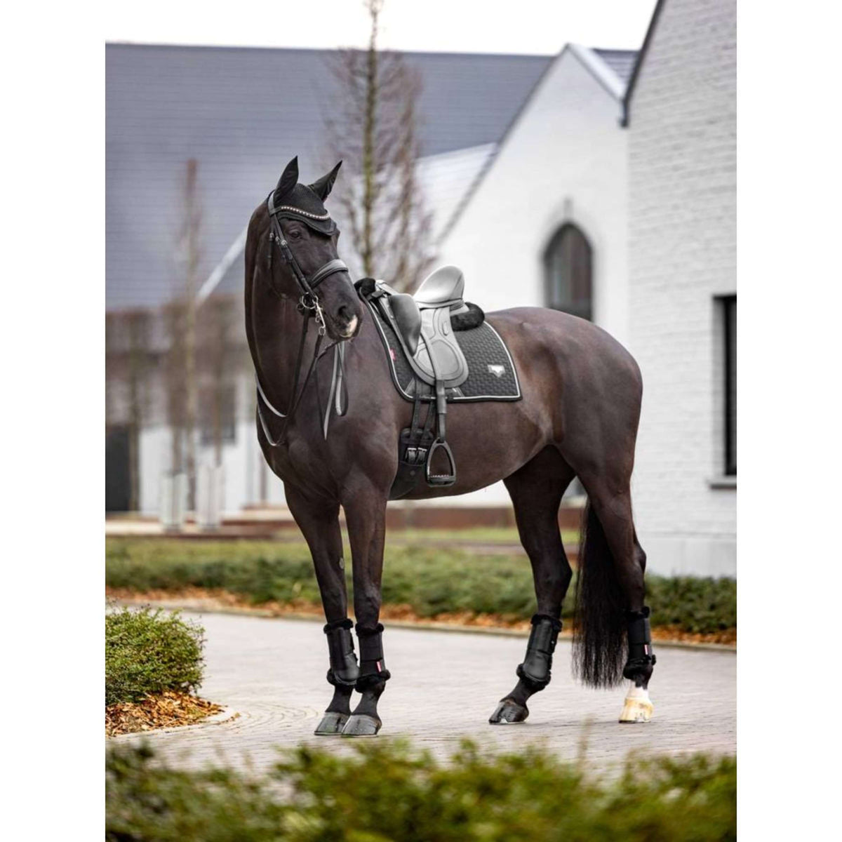 LeMieux Mantilla de Doma Puissance Ante Negro