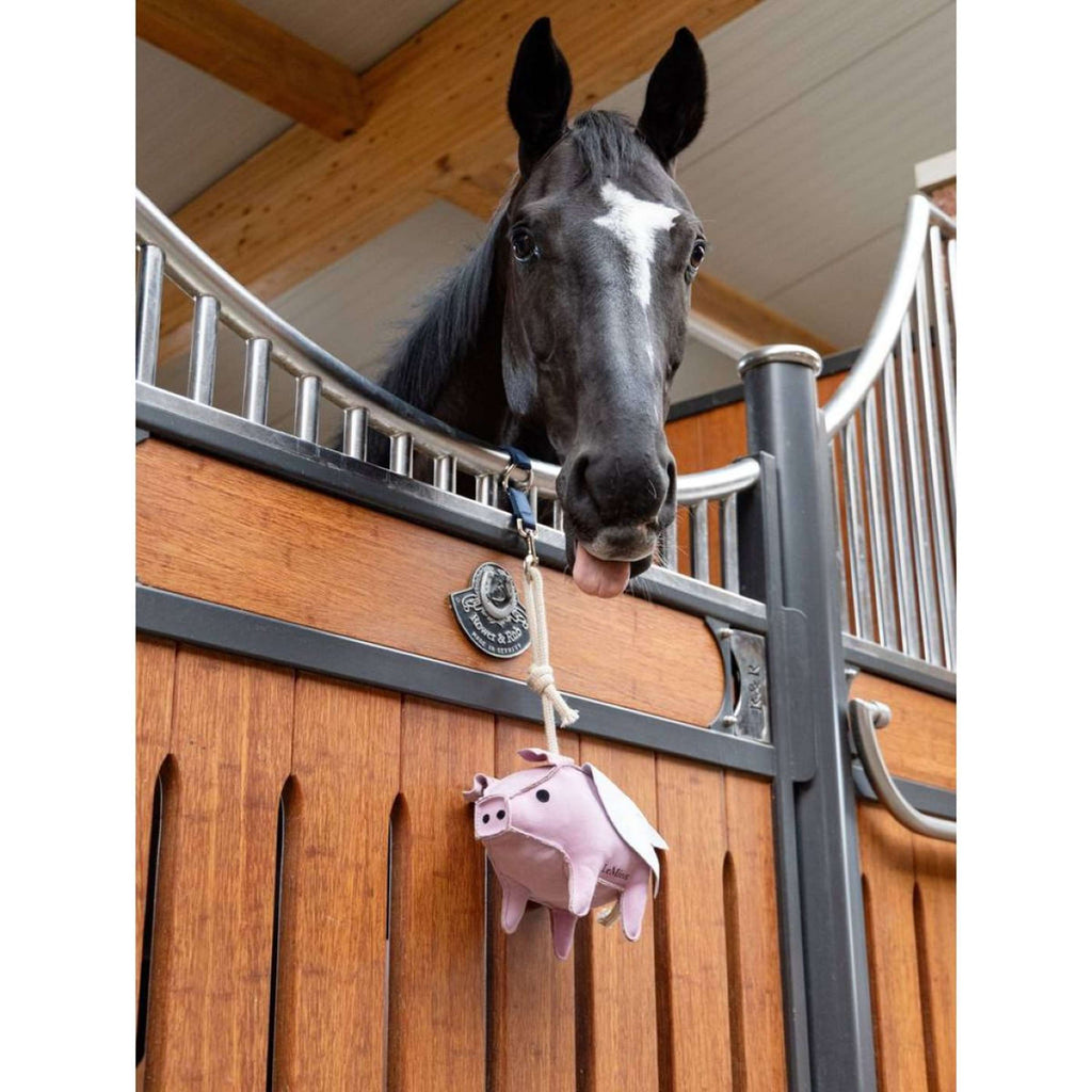 LeMieux Juguetes Flying Pig Rosa
