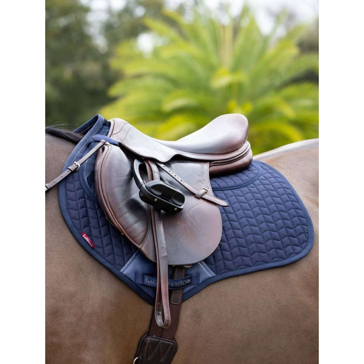 LeMieux Mantilla Prosorb Pain 2 Pocket CC Navy