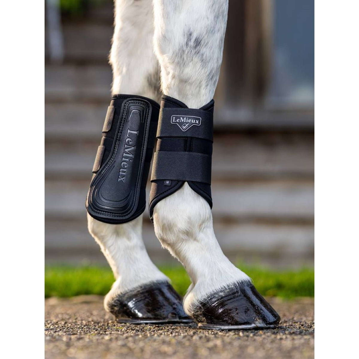 LeMieux Protectores de piernas Grafter Brushing Negro