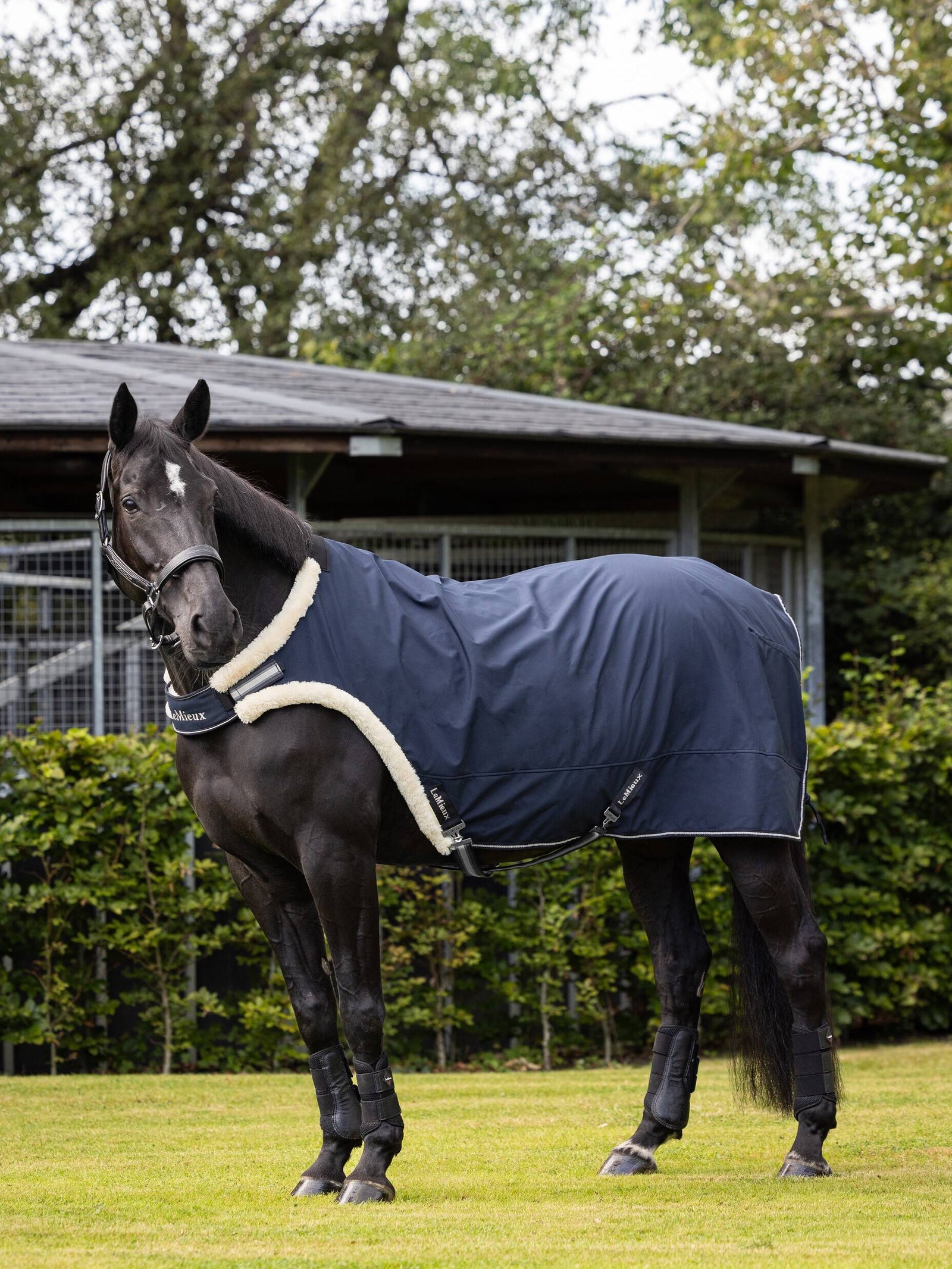 LeMieux Toy Pony Vliegendeken Navy