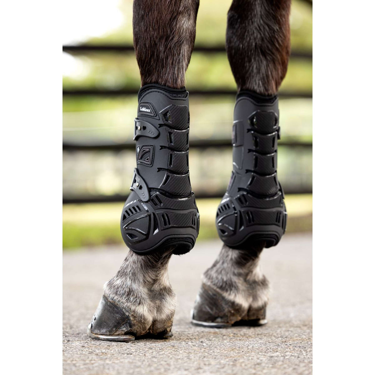 LeMieux Botas para tendones Motion Cool Negro