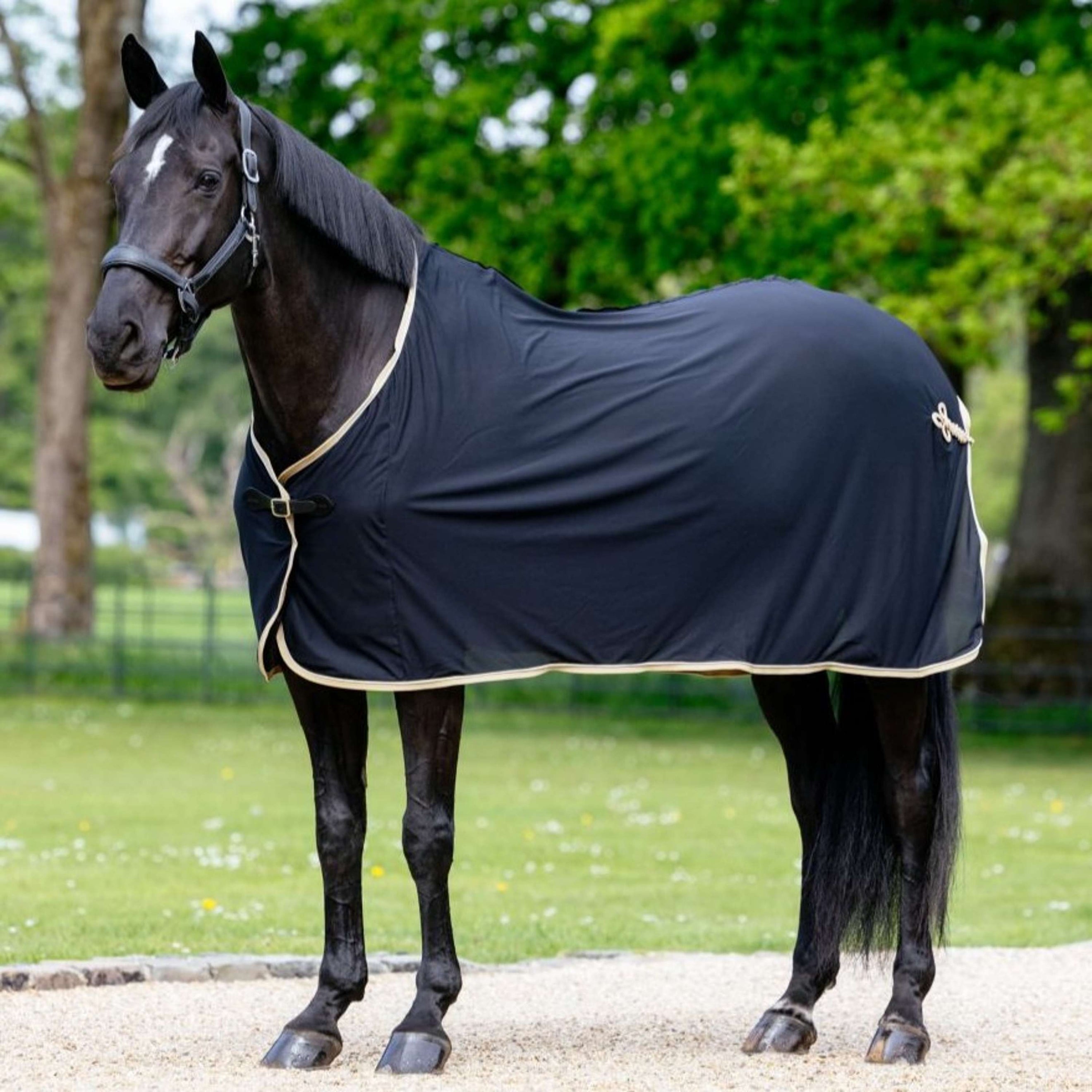 LeMieux Manta de Verano Negro LeMieux Manta de Verano Negro