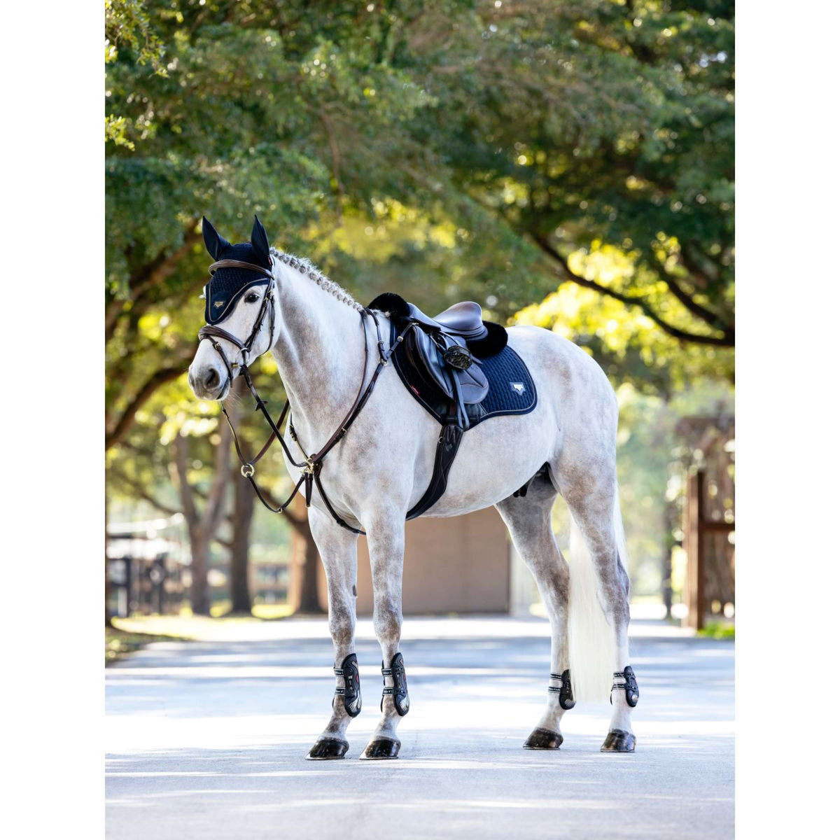 LeMieux Mantilla Puissance Suede Close Contact Navy