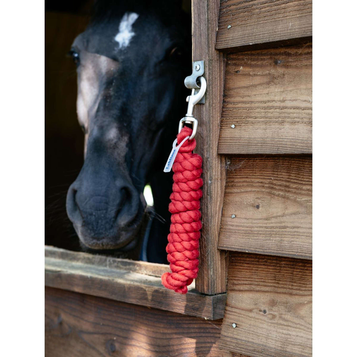 LeMieux Cuerda de Cabestro Polycotton Chilli