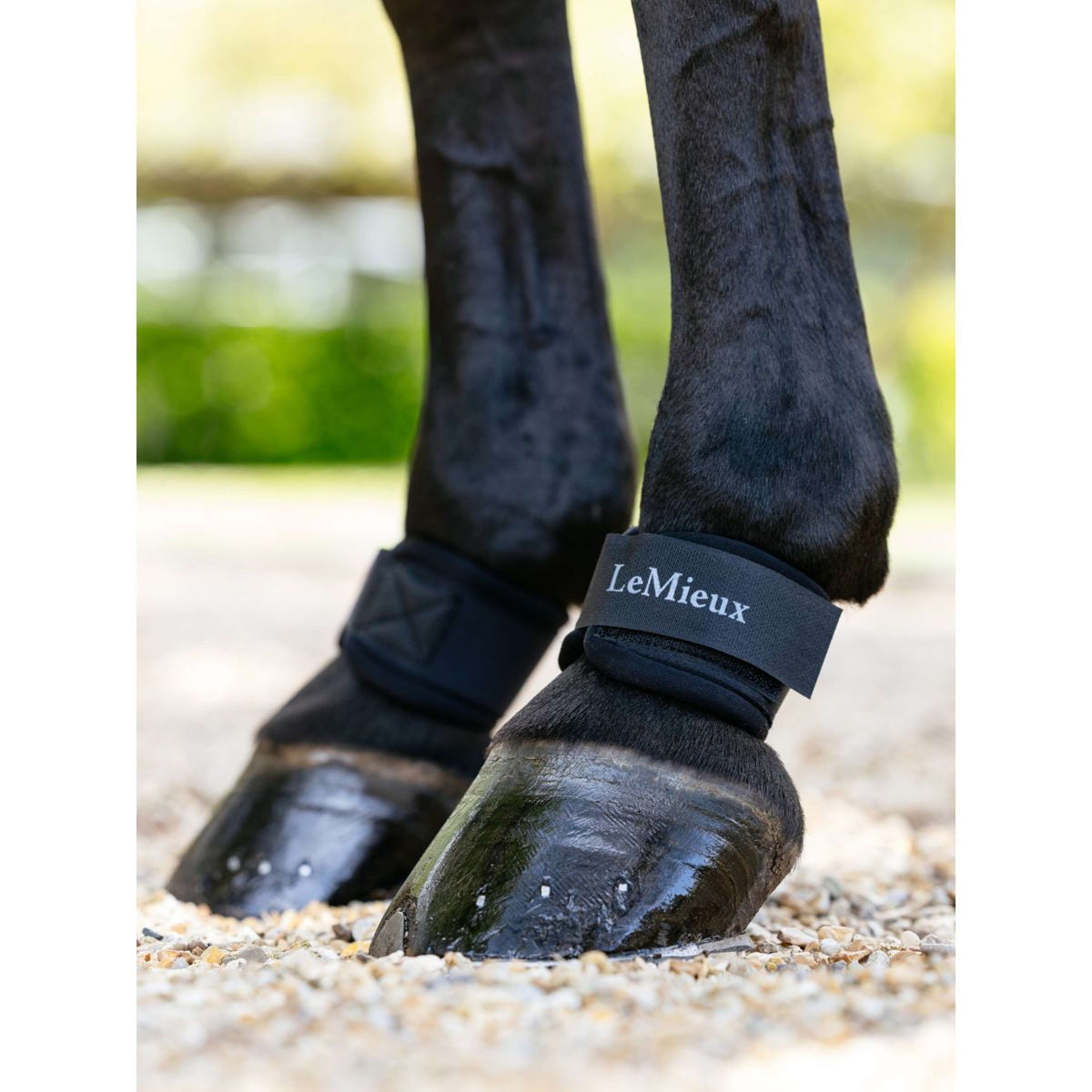 LeMieux Protectores de cuartilla Neoprene Negro
