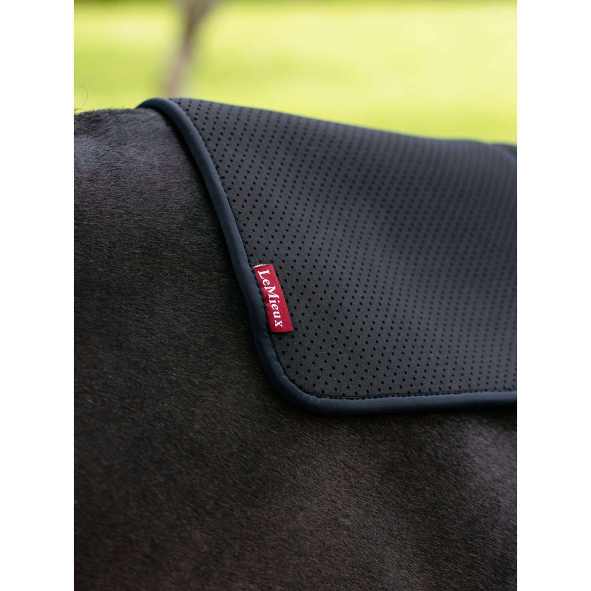 LeMieux Bajoalfombra Non-slip Square Negro