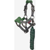 LeMieux Juego de Cabestro Mini Vogue Hunter Green