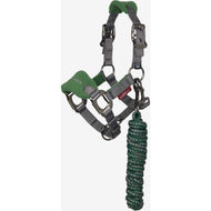 LeMieux Juego de Cabestro Mini Vogue Hunter Green
