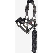 LeMieux Juego de Cabestro Mini Vogue Negro