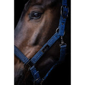 Mrs. Ros Cabezada Festive Zafiro