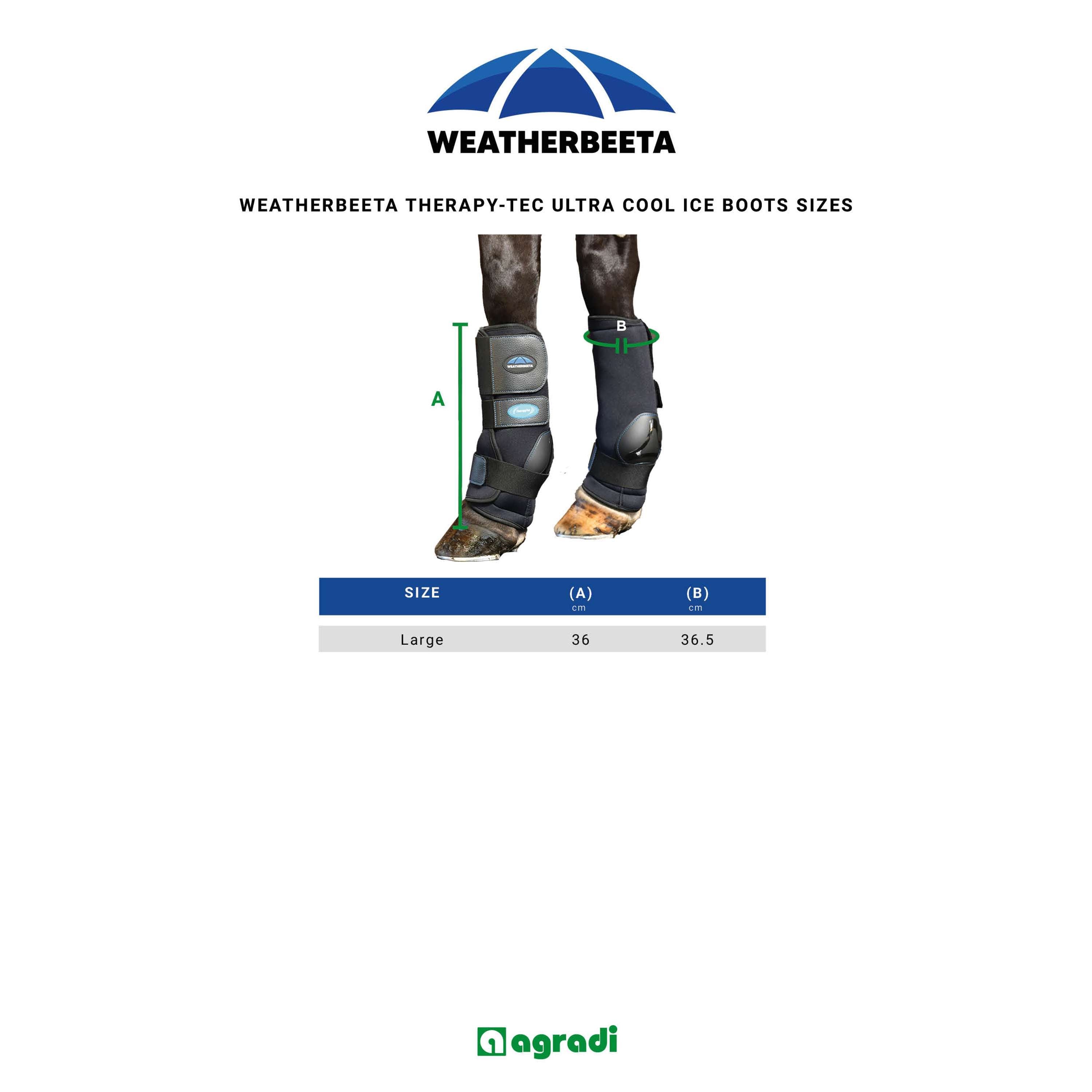 WeatherBeeta Ice Boots Therapy-Tec II Ultra Cool Negro