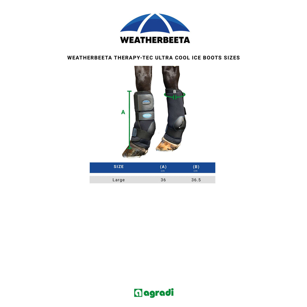 WeatherBeeta Ice Boots Therapy-Tec II Ultra Cool Negro