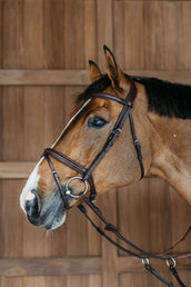 Dyon Brida Flash Trenzado Marron