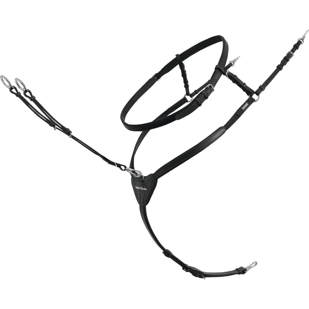 Passier Arnés Frontal Ingrid Klimke Negro/Plata