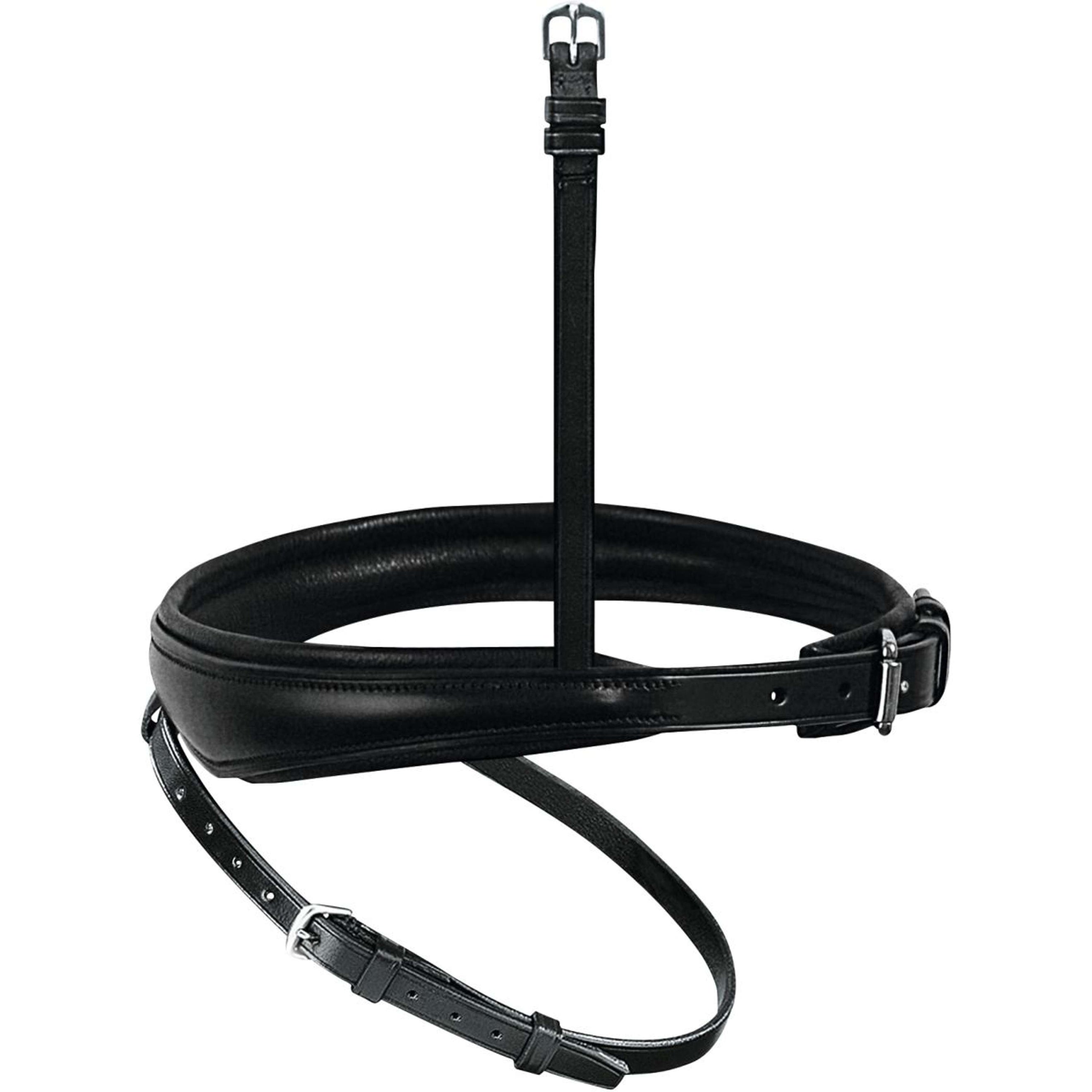 Passier Cabezada Inglés Combinado Anatómico Negro/Plata