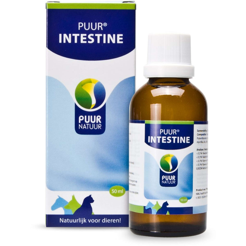 PUUR Intestino Perro y Gato