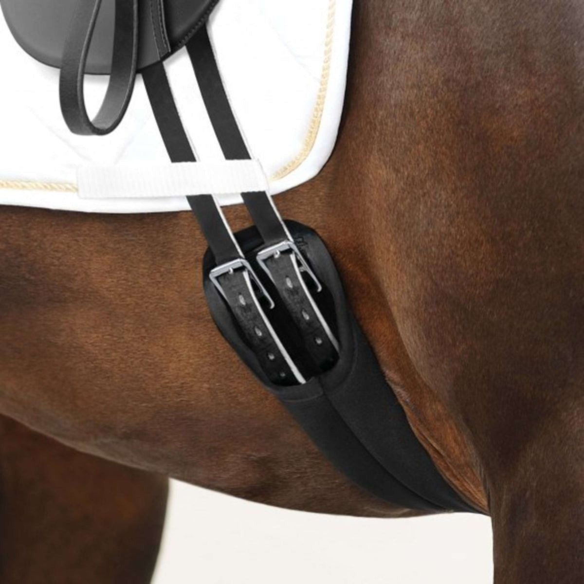 Passier Cincha de doma Neopreno Negro