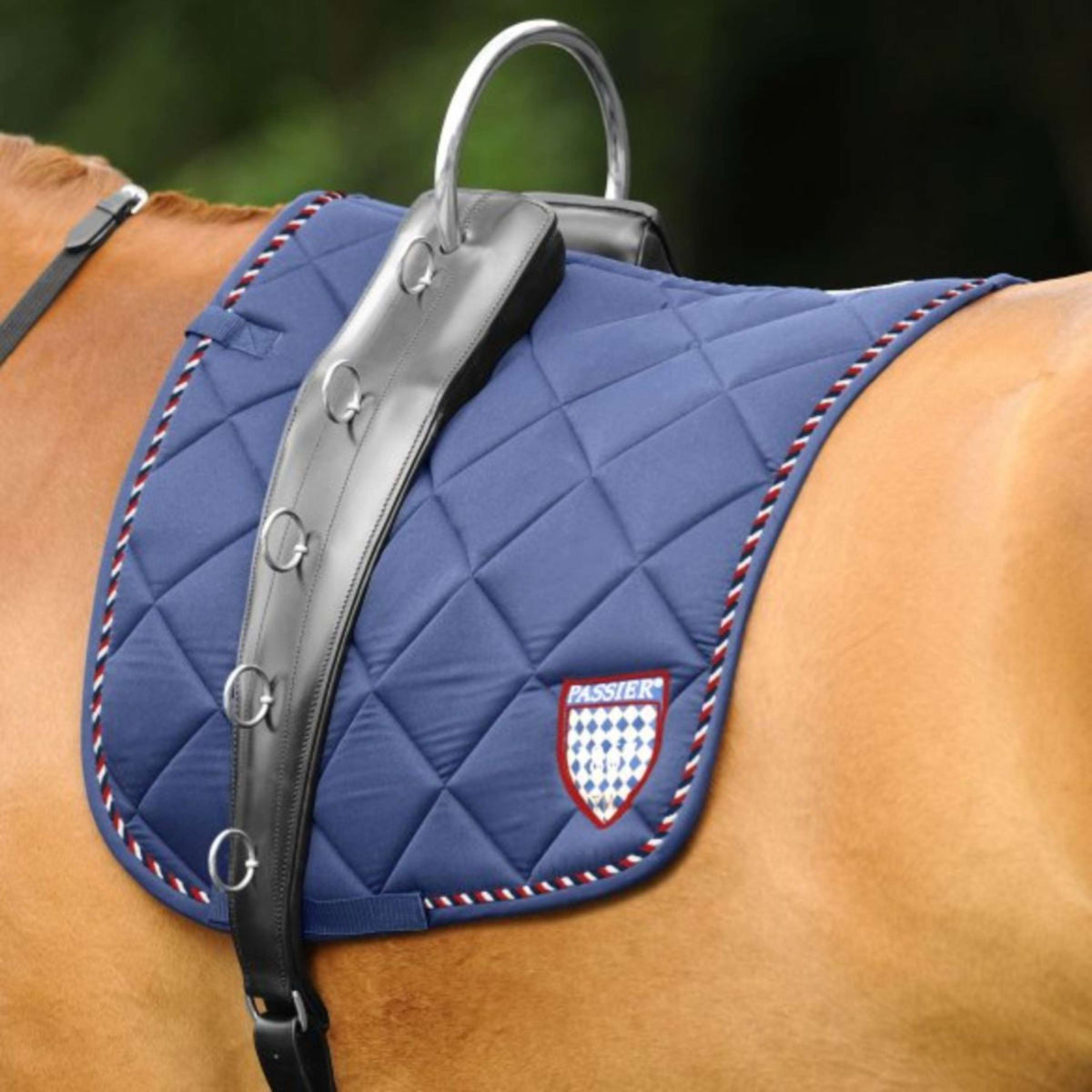 Passier Cincha de Trabajo Horst Becker Negro