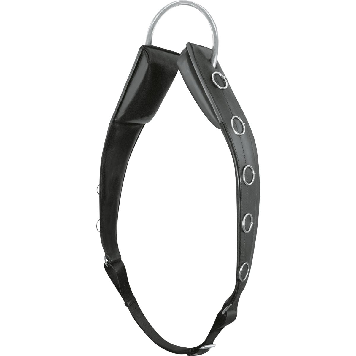 Passier Cincha de Trabajo Horst Becker Negro