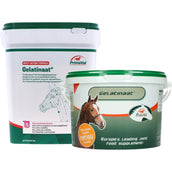 PrimeVal Gelatinate Caballo