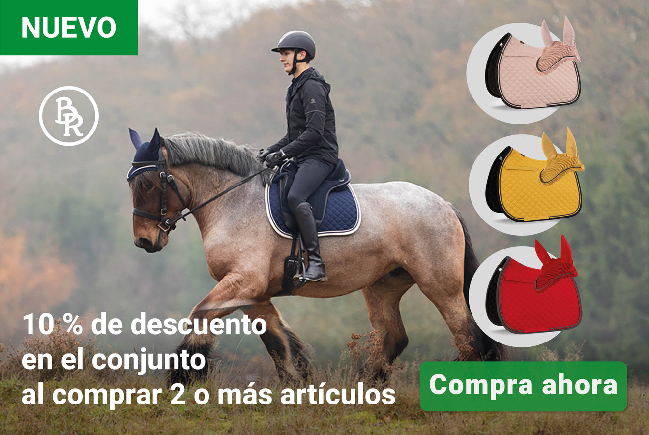 BR setkorting