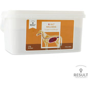 Result Equine R-intestino Bienestar