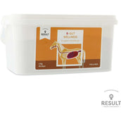 Result Equine R-intestino Bienestar