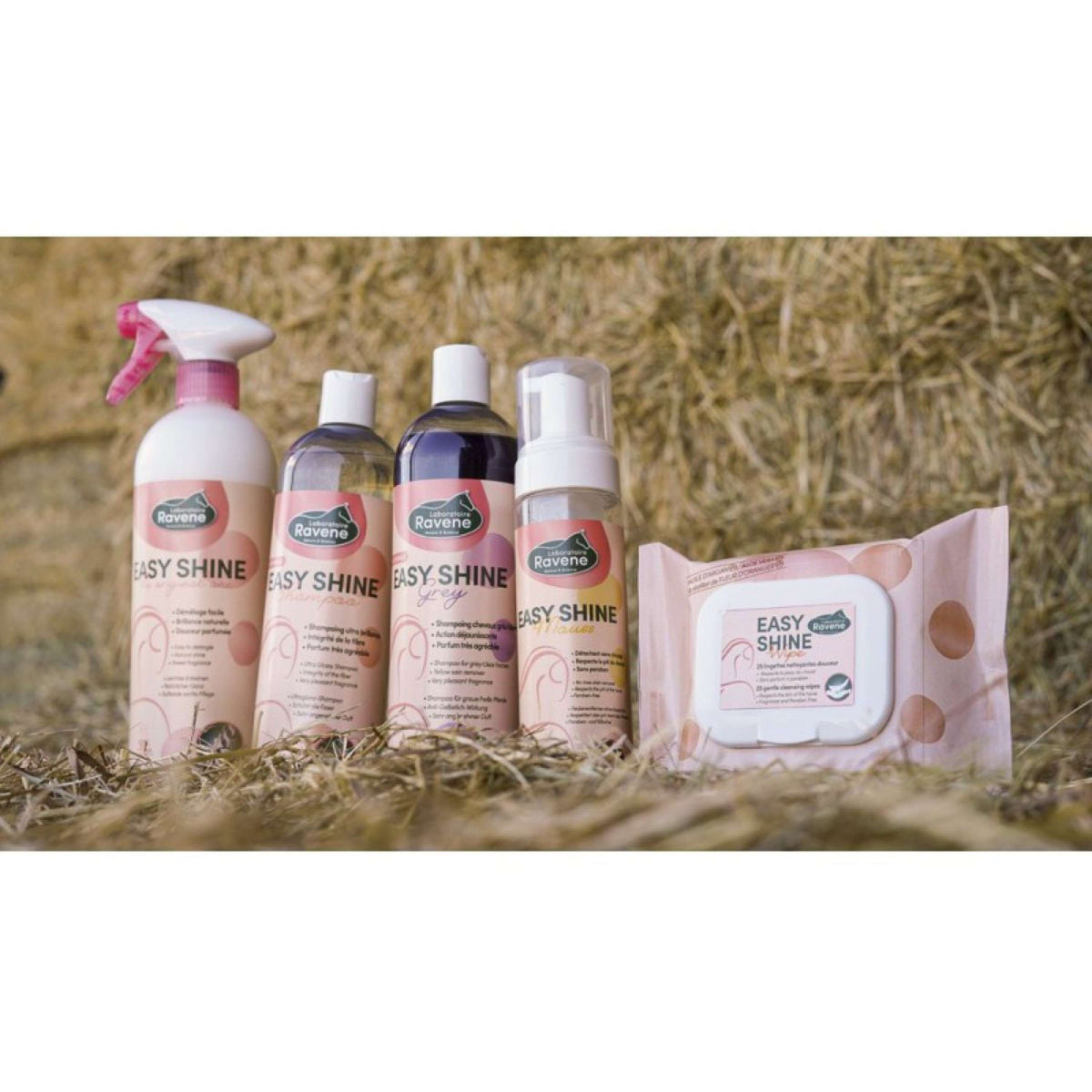 Ravene Easy Shine Toallitas