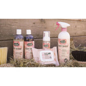 Ravene Easy Shine Toallitas