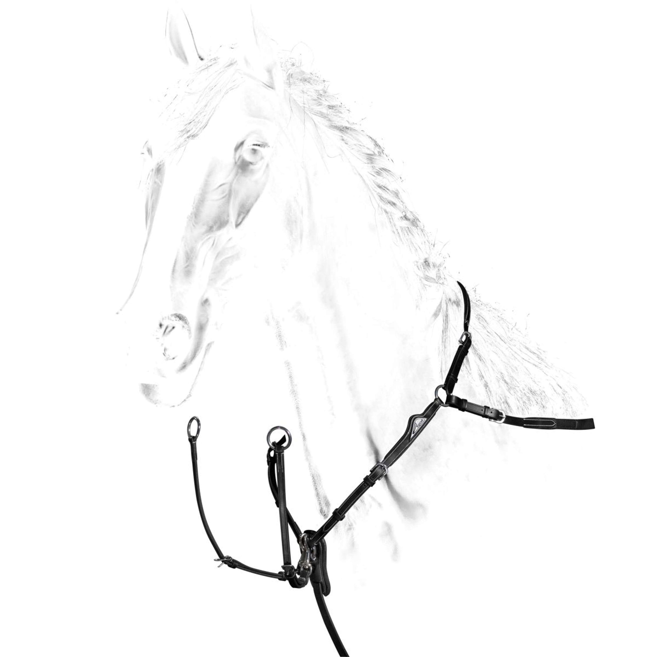 Equiline Arnés de Pecho Negro Equiline Arnés de Pecho Negro