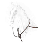 Equiline Arnés de Pecho Marron