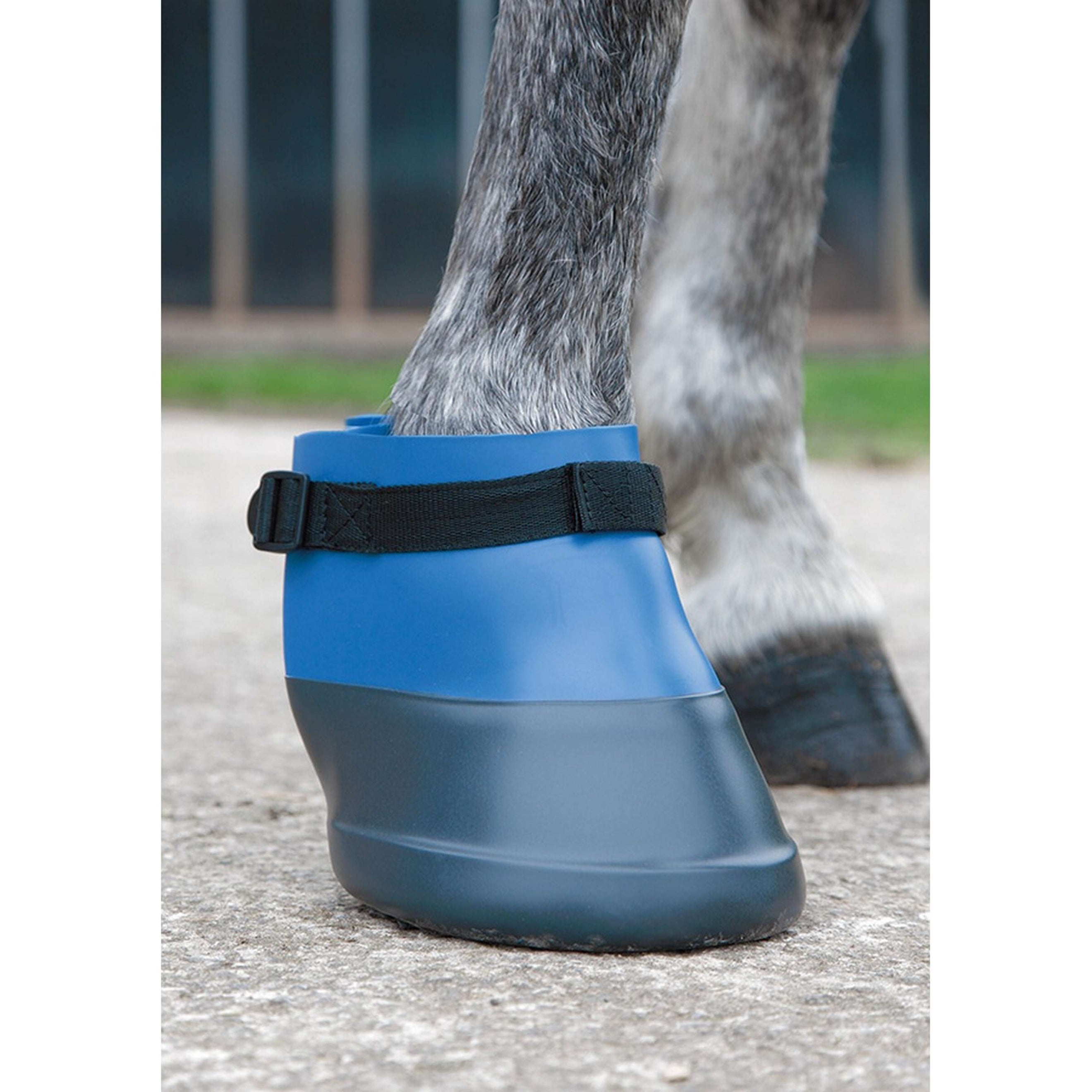 Shires Herradura Azul