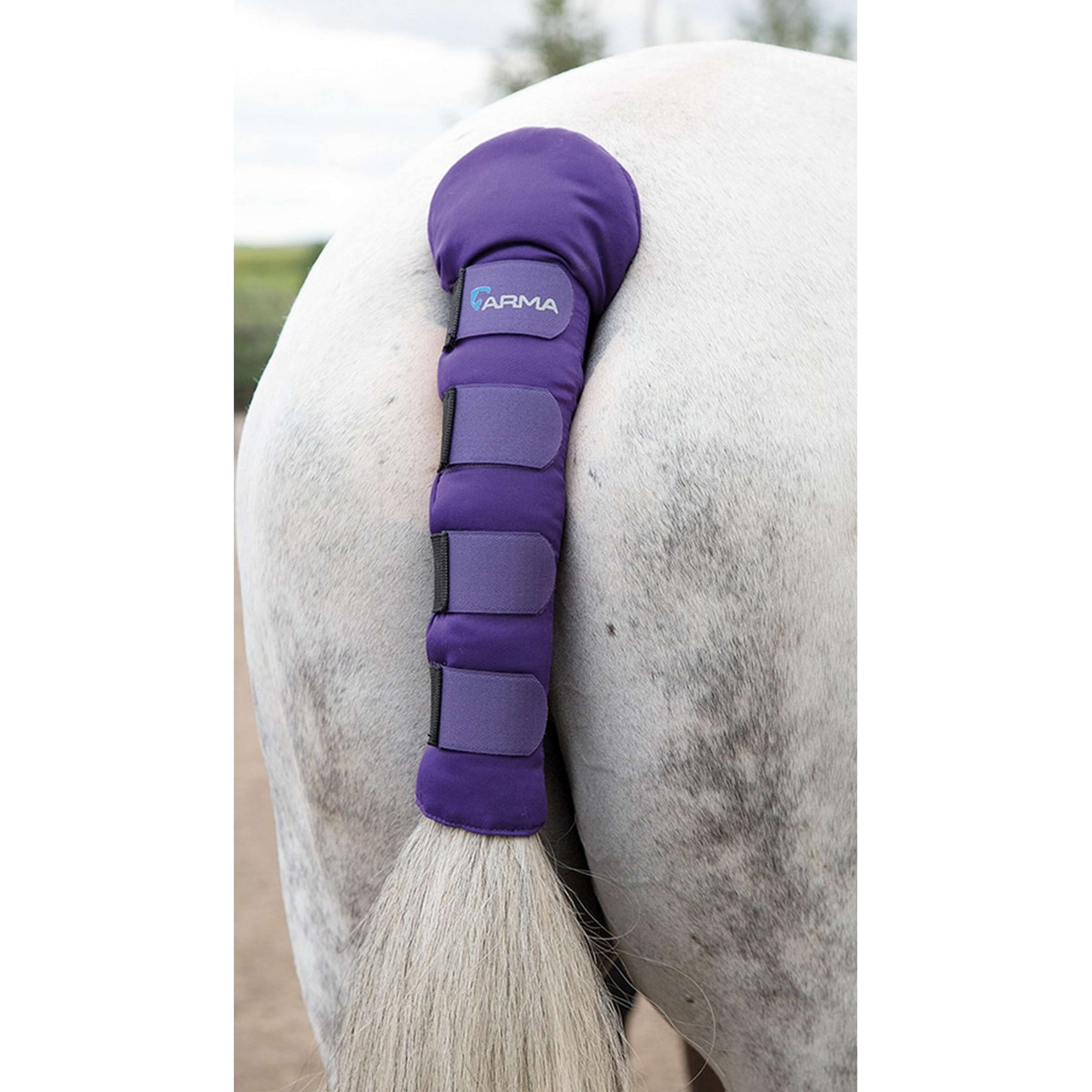 Arma by Shires Protector de Cola Padded Morado Arma by Shires Protector de Cola Padded Morado