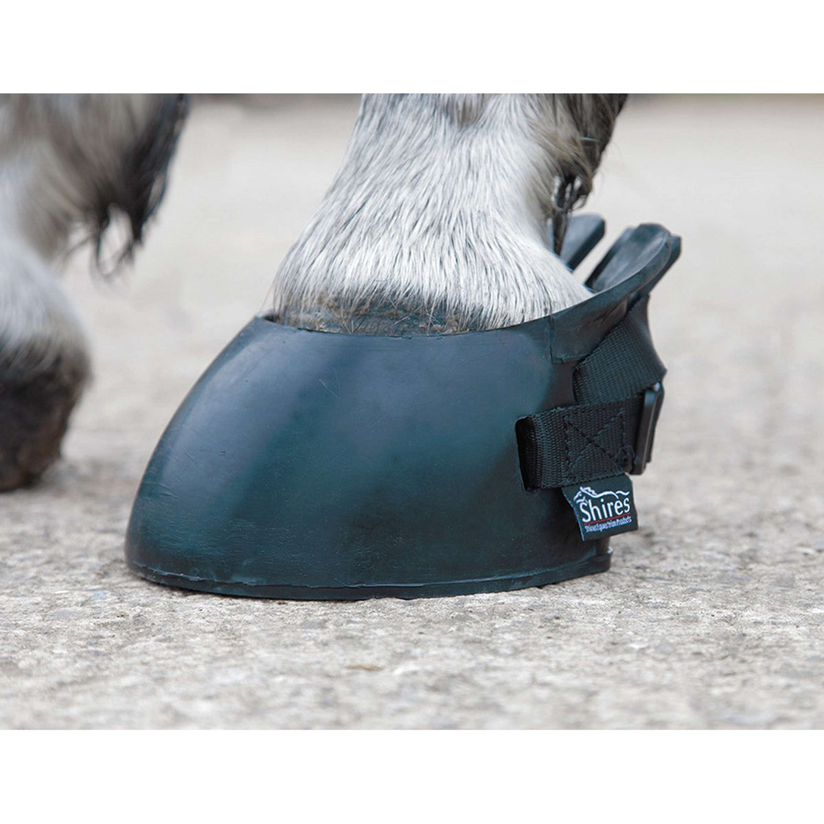 Shires Herradura Negro