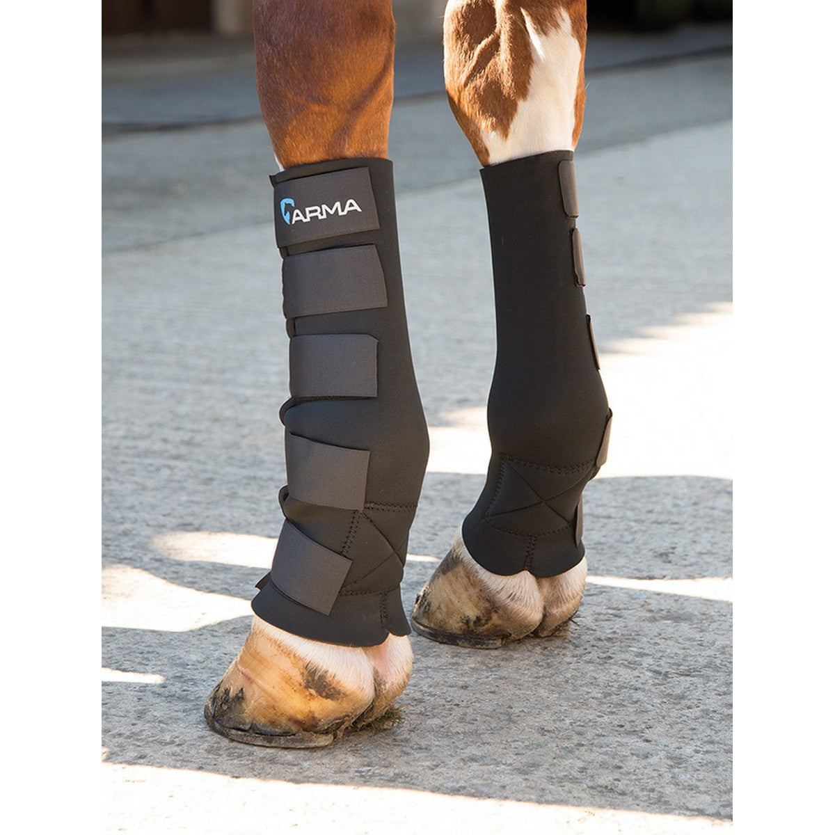 Arma by Shires Protectores de piernas Negro