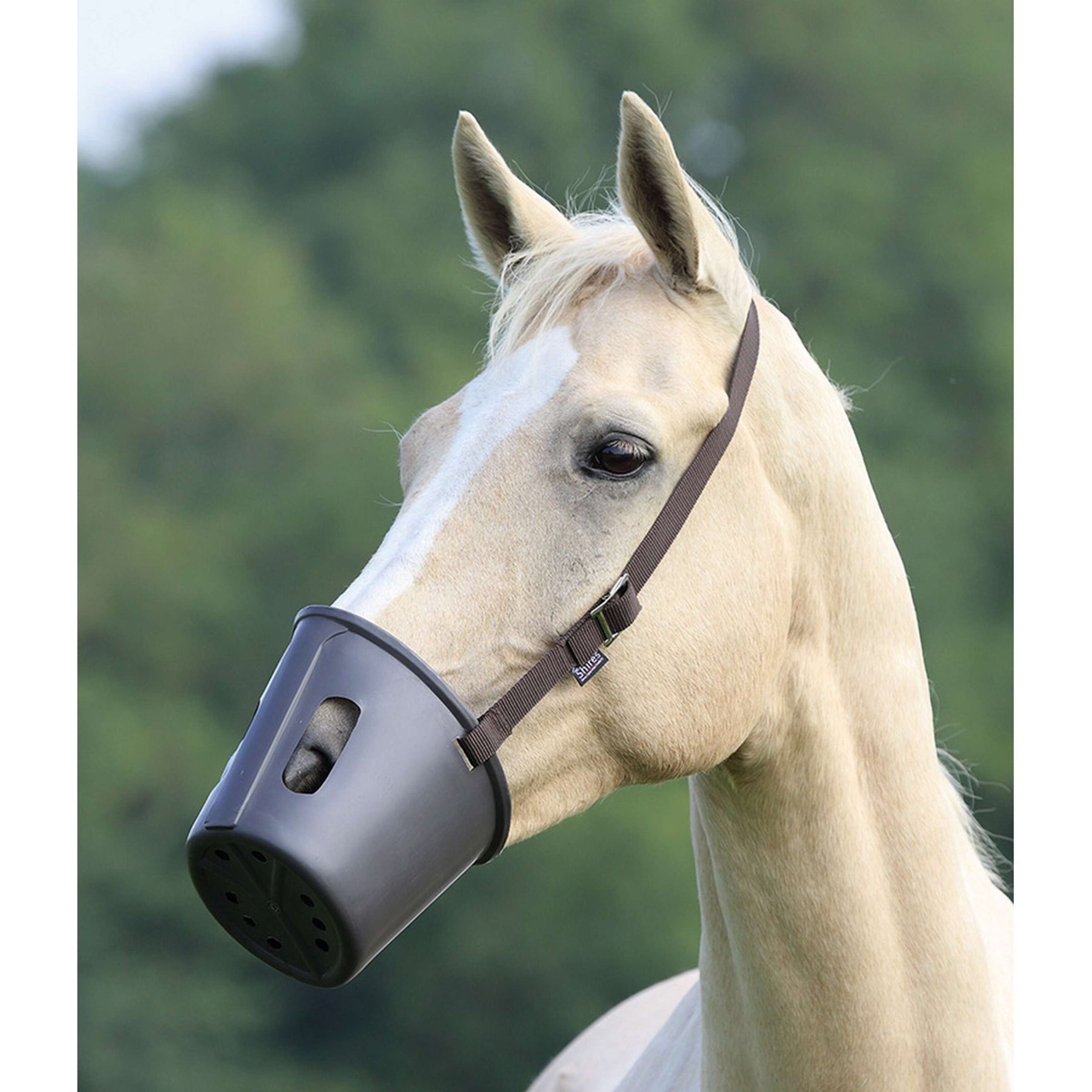 Shires Bozal Plástico Marron Shires Bozal Plástico Marron