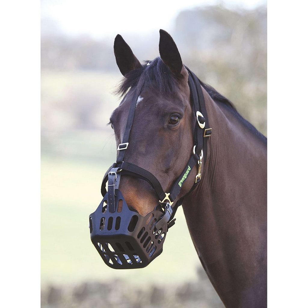 Greenguard by Shires Cabezada Negro