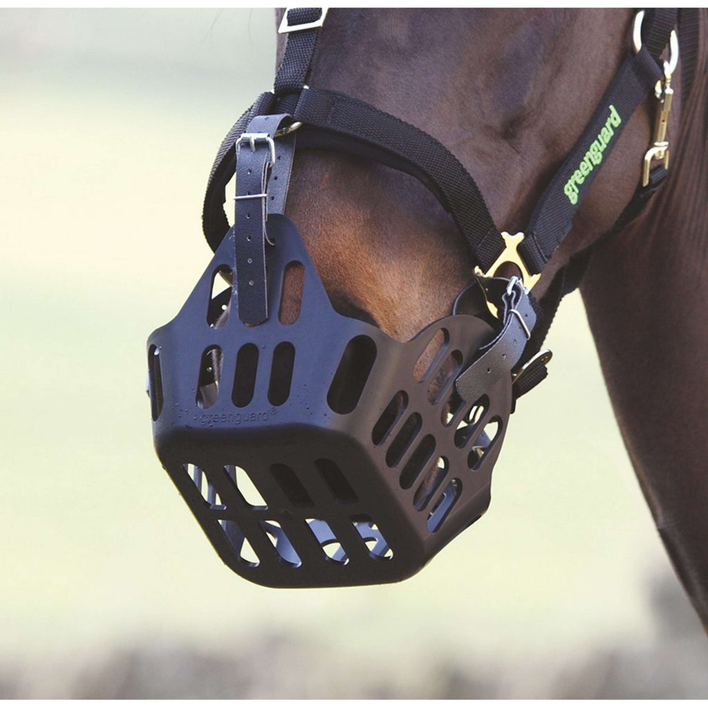 Greenguard by Shires Correas de Reserva Negro