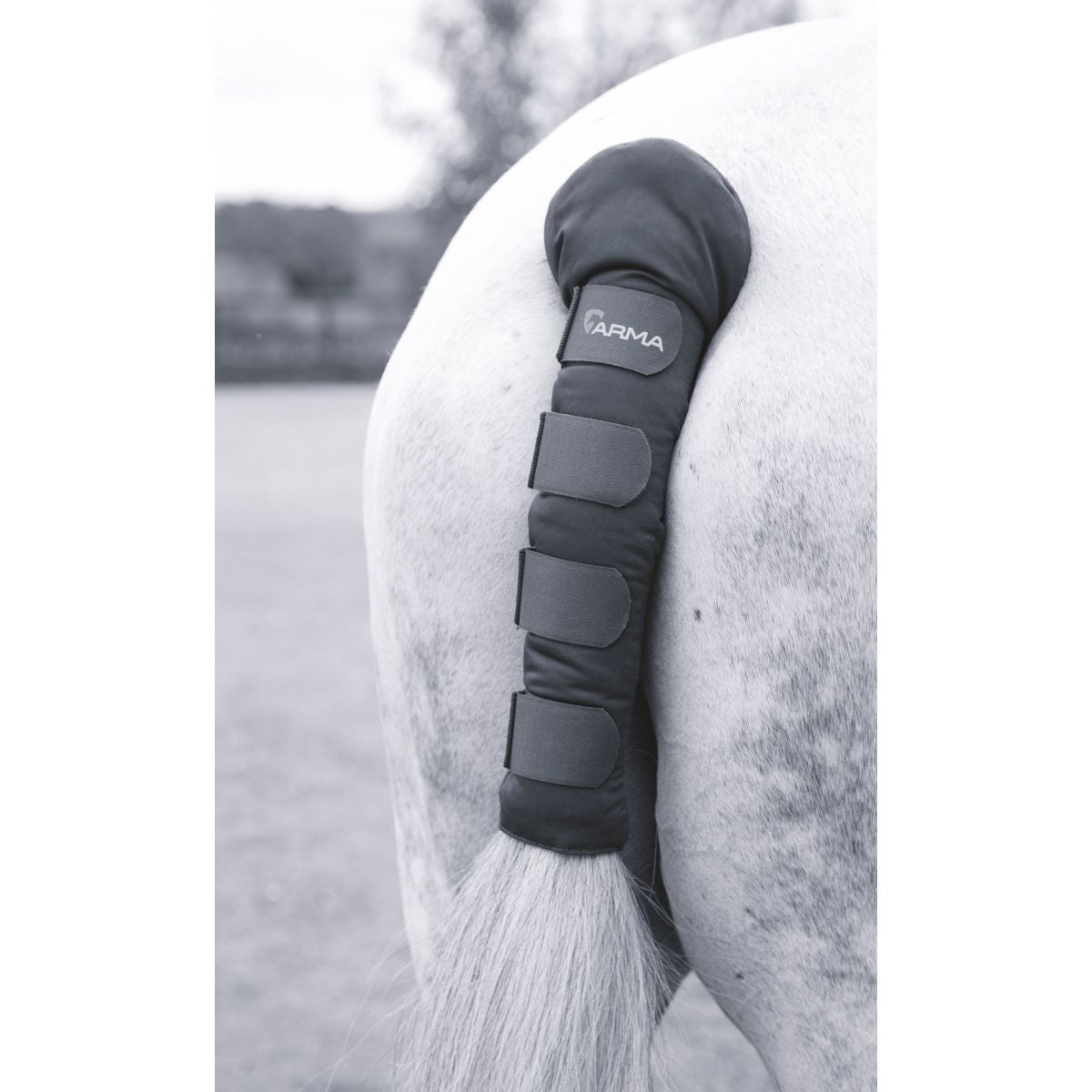 Arma by Shires Protector de Cola Padded Negro