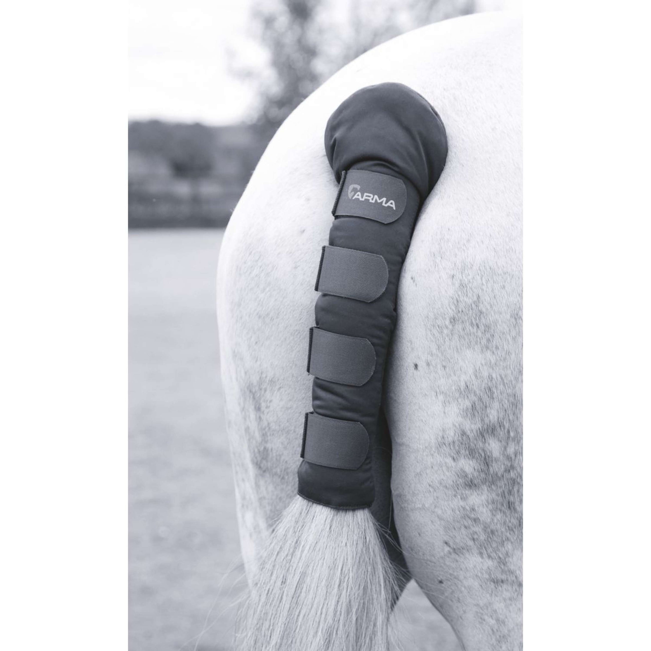 Arma by Shires Protector de Cola Padded Negro Arma by Shires Protector de Cola Padded Negro