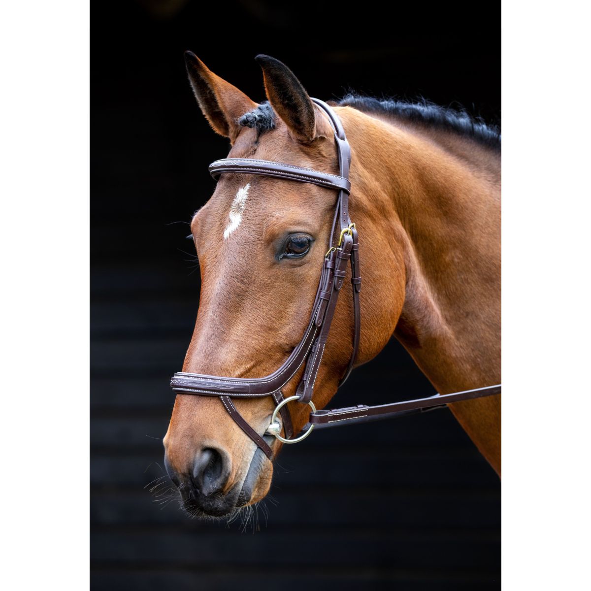 Salisbury by Shires Brida Buckingham utilidad australiana