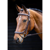 Salisbury by Shires Brida Buckingham utilidad australiana