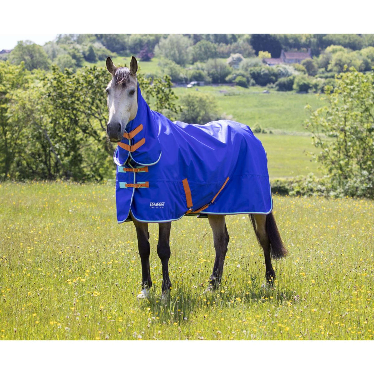Tempest Original by Shires Manta de Invierno Turnout 50 Combo Royal